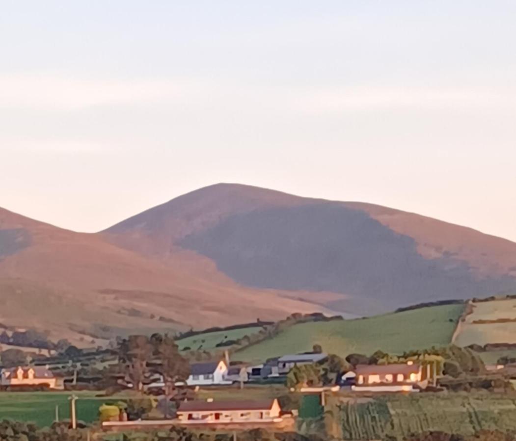 Loughview Retreat In The Mournes Daire Newcastle  Dış mekan fotoğraf