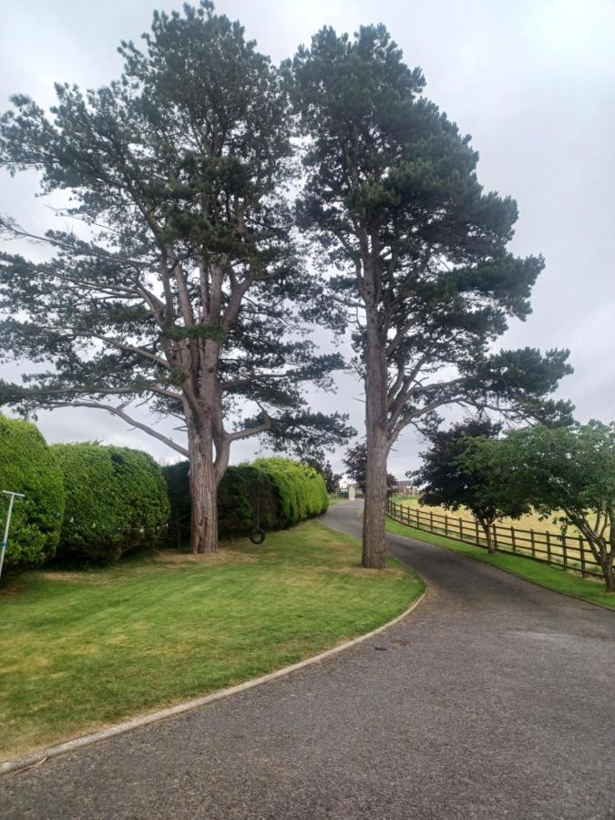 Loughview Retreat In The Mournes Daire Newcastle  Dış mekan fotoğraf