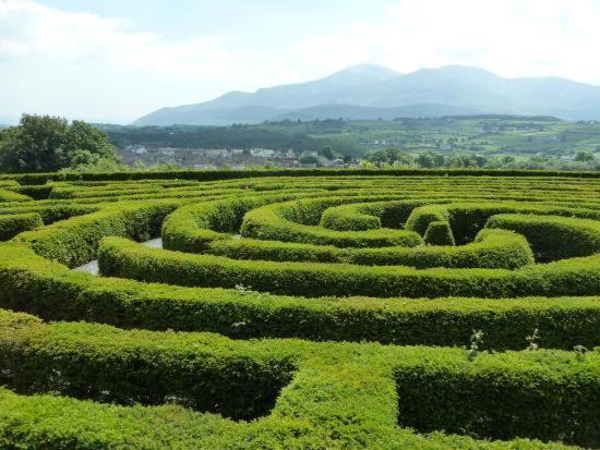 Loughview Retreat In The Mournes Daire Newcastle  Dış mekan fotoğraf